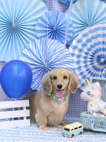 20231129こなつちゃん